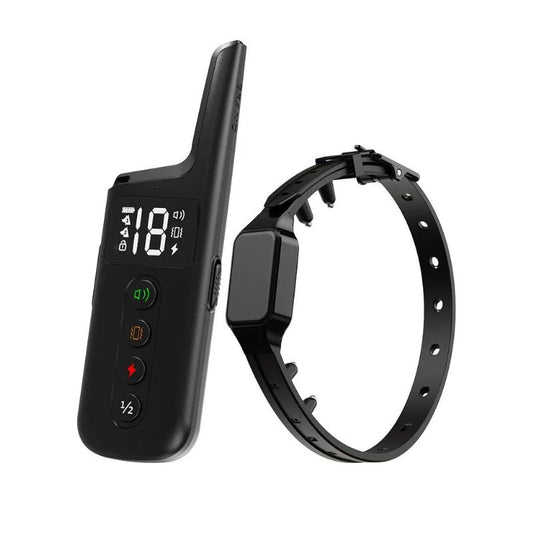 Collier Anti Fugue Chien Slim