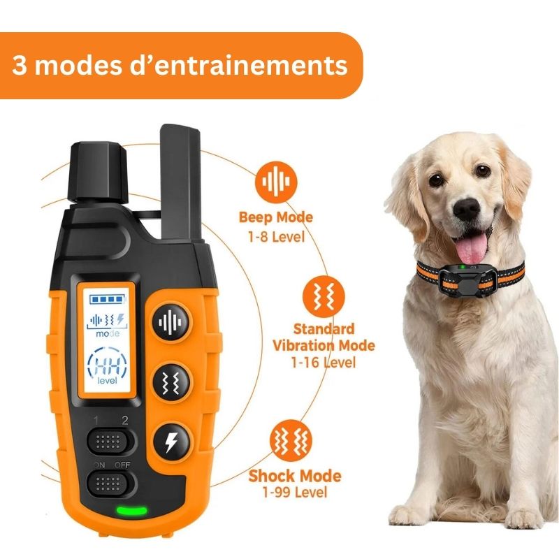 Collier Anti Fugue Chien Trainning