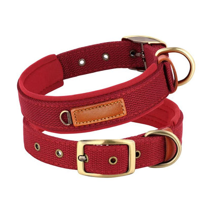 Collier Chien Confort