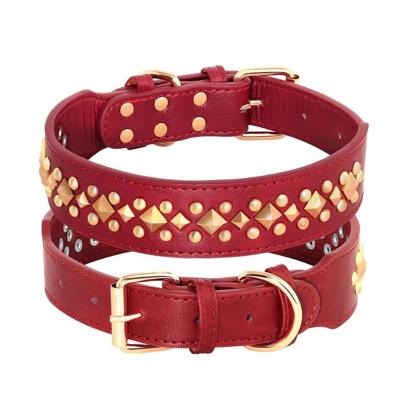 Collier Cuir Chien Cloutés