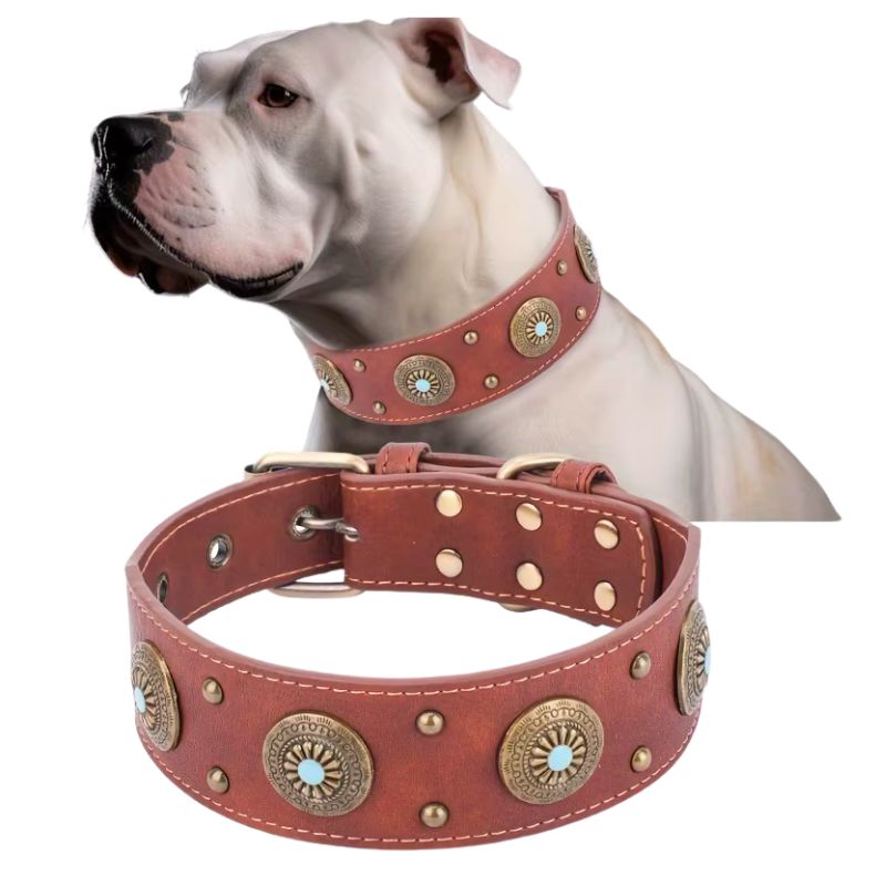 Collier Cuir Chien Marron 