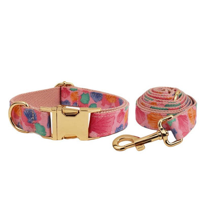 Laisse pour Chien Shell