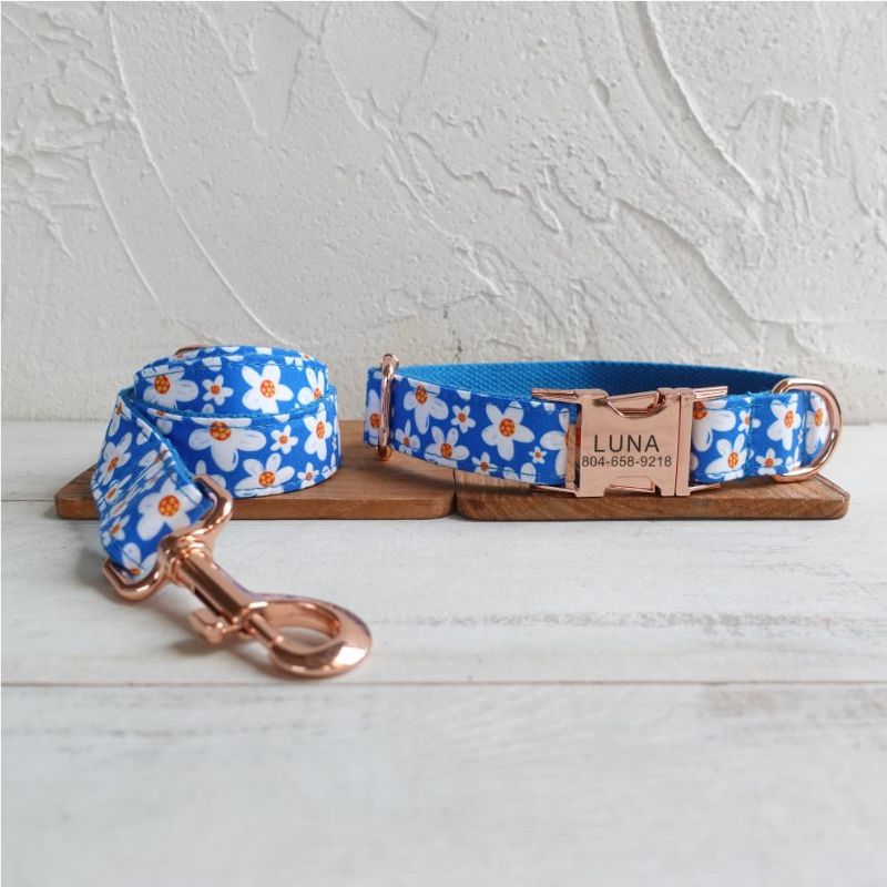 Laisse pour Chien Marguerite