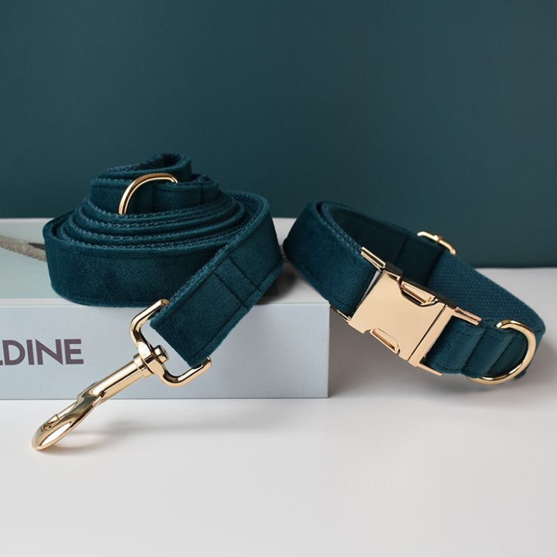Laisse pour Chien Canard