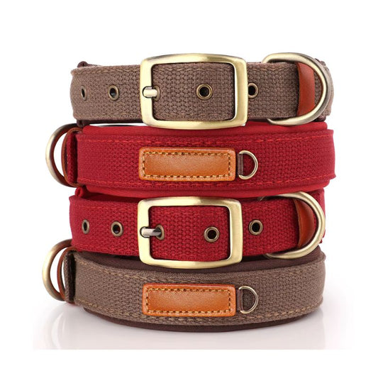 Collier chien Dual
