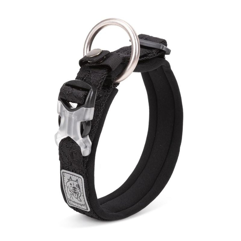 Collier Chien