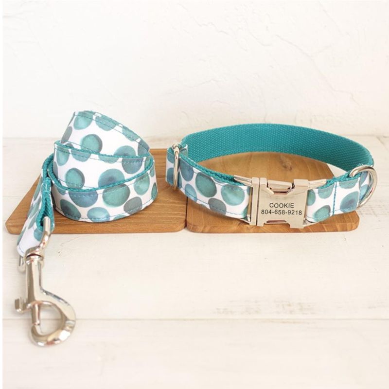 Laisse pour Chien Jacob