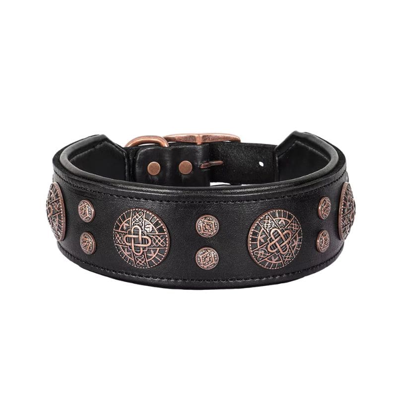 Collier Cuir Chien Piece