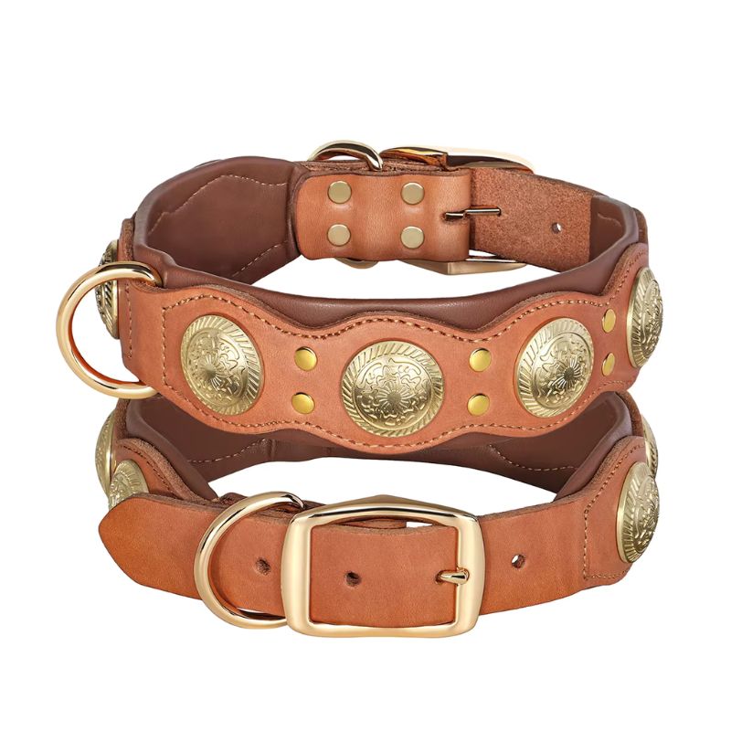 Collier Cuir Chien