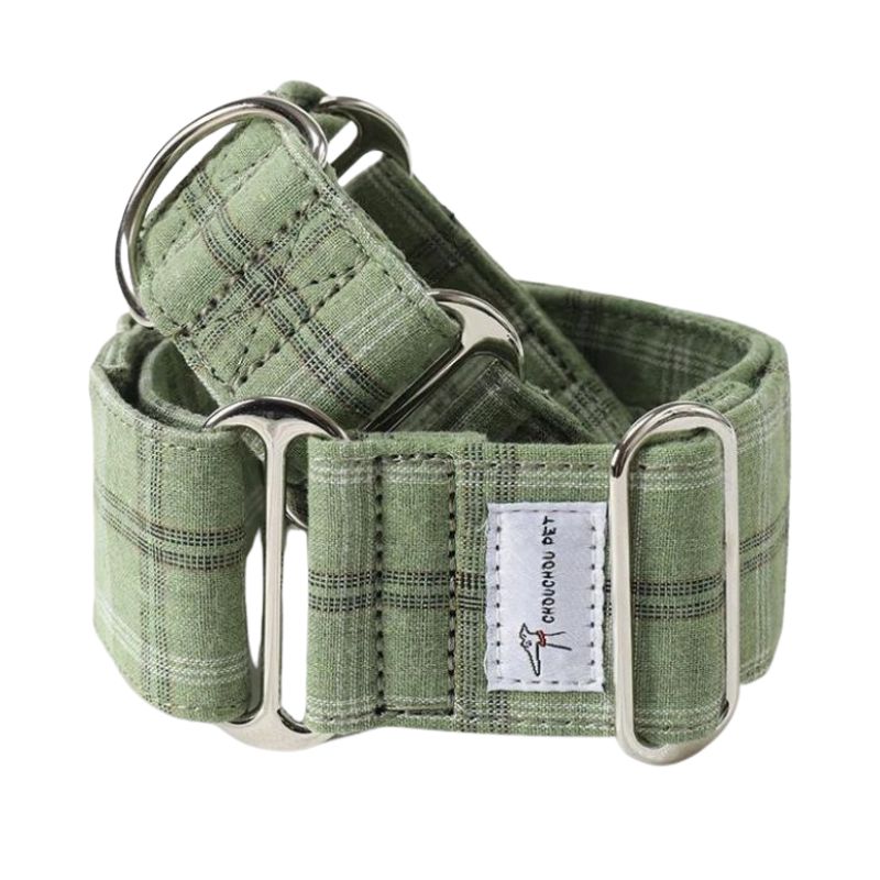 Collier pour Chien Large