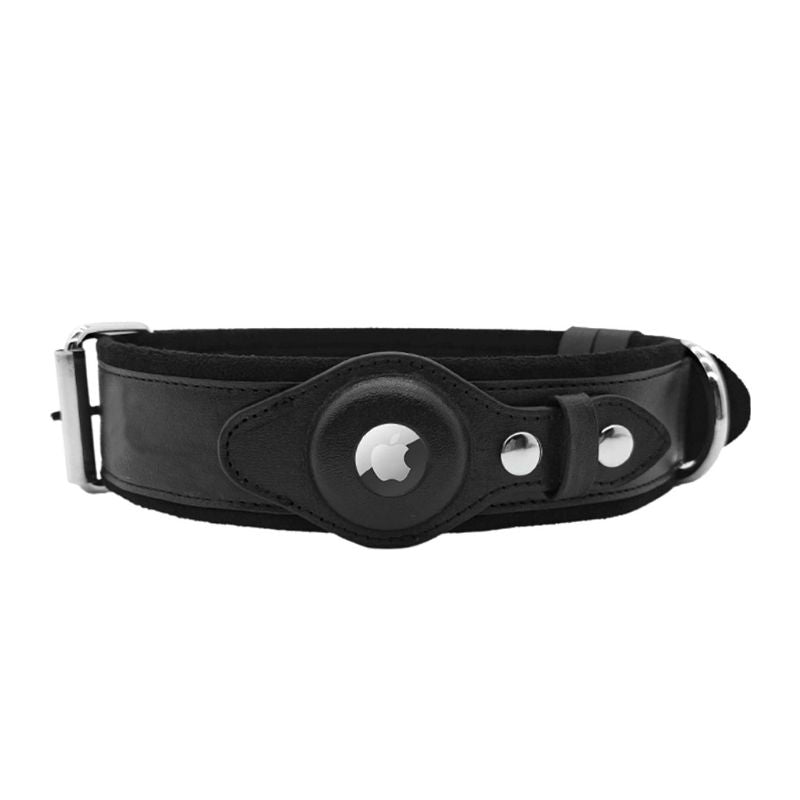 Collier Chien Cuir