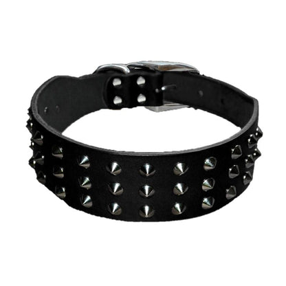 Collier Chien Cuir