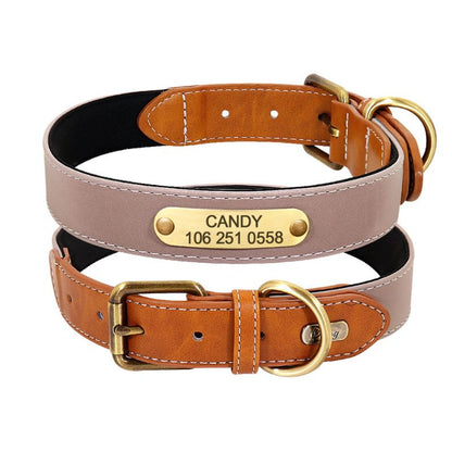 Collier Chien Cuir Identification