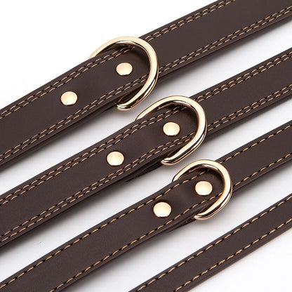Collier Chien Cuir Premium