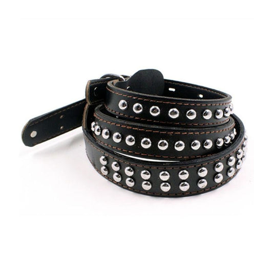 Collier Chien Cuir Clous Ronds