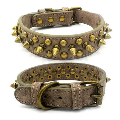Collier Cuir pour Chien