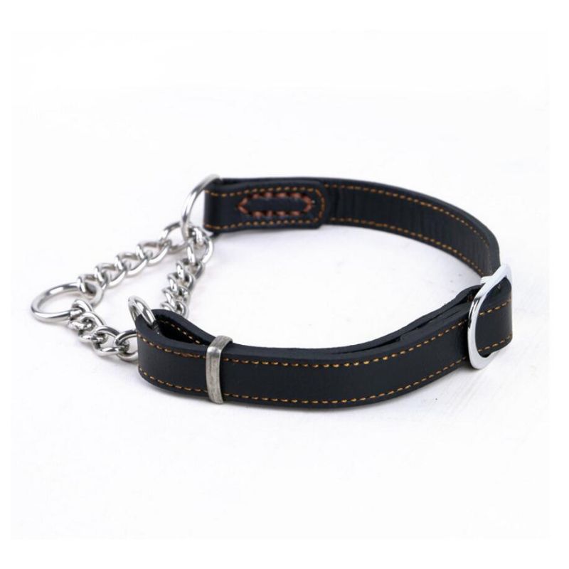 Collier Etrangleur Chien