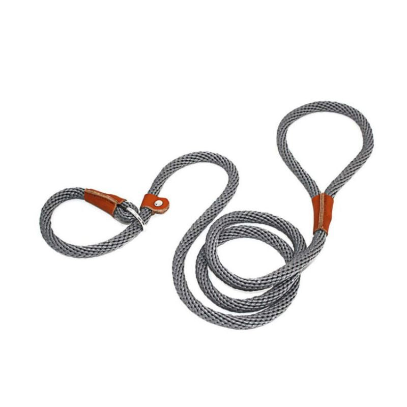 Collier Etrangleur Chien