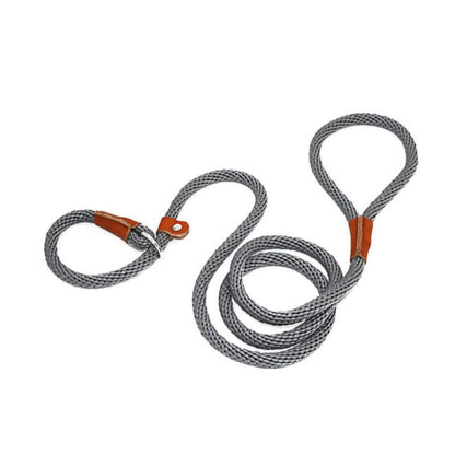 Collier Etrangleur Chien