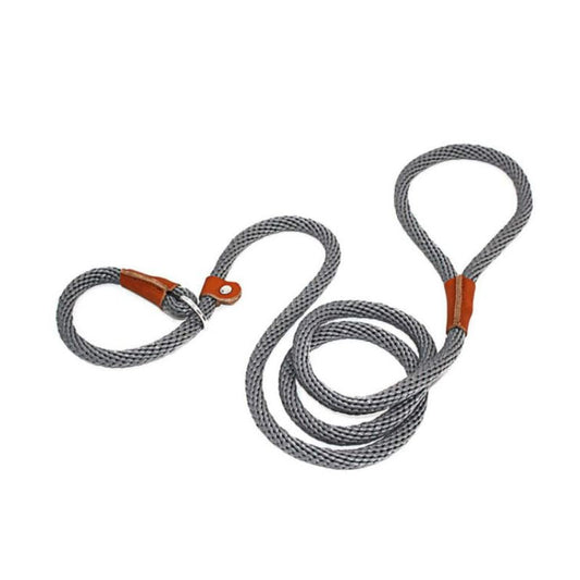 Collier Etrangleur Chien
