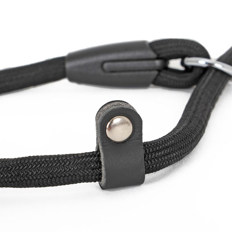 Collier Etrangleur Chien Corde