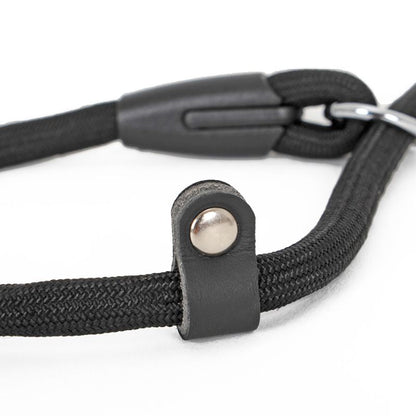 Collier Etrangleur Chien Corde