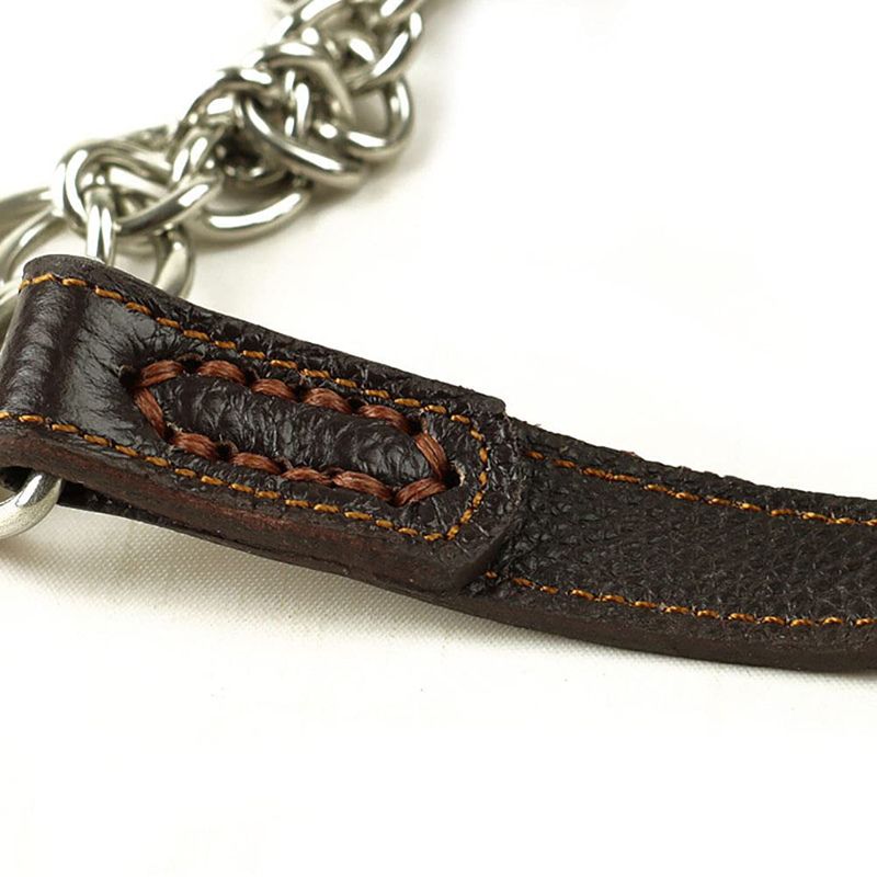 Collier Etrangleur Chien Noble