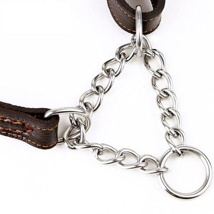 Collier Etrangleur Chien Noble