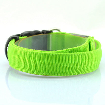 Collier Led Vert