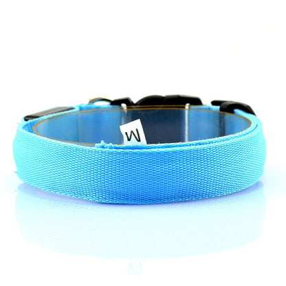 Collier Led Bleu