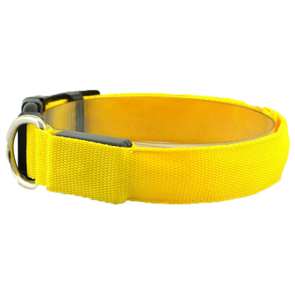 Collier Lumineux Chien Nylon