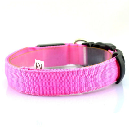 Collier Lumineux Chien Nylon