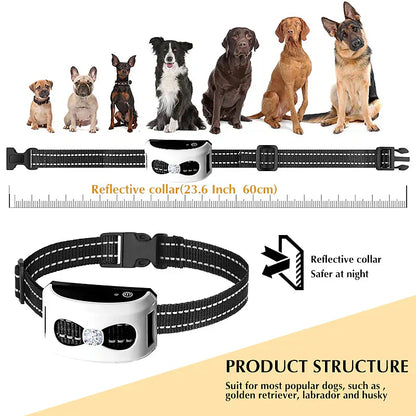 Clôture Sans Fil & Collier de Dressage 2-en-1 pour Chien – Étanche, Rechargeable, Portée 300 m