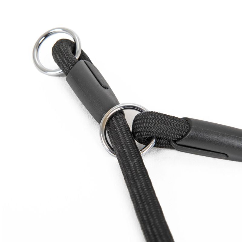 Collier Etrangleur Chien Corde