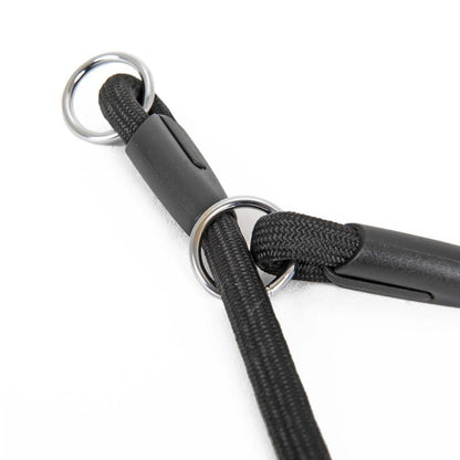 Collier Etrangleur Chien Corde