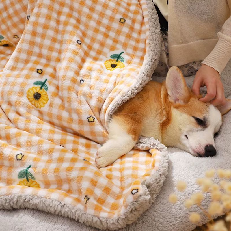Couverture Chien Vichy
