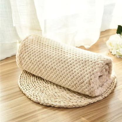 Couverture Chien