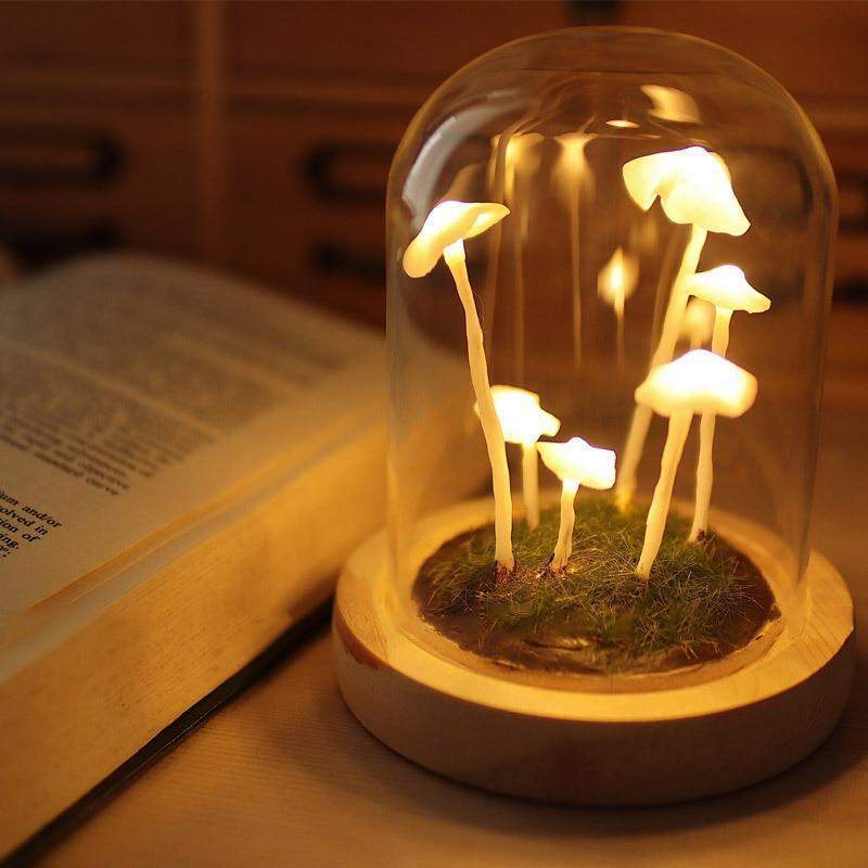 MycoJar | DIY Champignons dans un verre