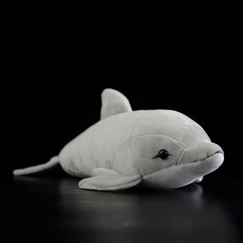 Dauphin Gris Sonar