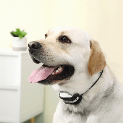 Clôture Électronique SécuriDog 2-en-1 – Sans Fil avec Collier de Dressage, Portée 300 m, Étanche et Rechargeable