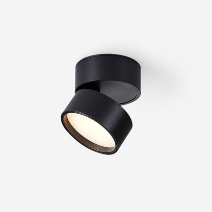 Lampe Plafonnier Surface LED Réglable - Éclairage Moderne pour Œuvres d'Art