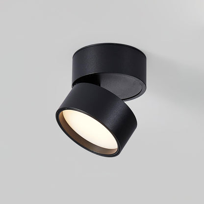 Lampe Plafonnier Surface LED Réglable - Éclairage Moderne pour Œuvres d'Art