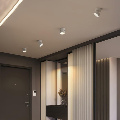 Lampe Plafonnier Surface LED Réglable - Éclairage Moderne pour Œuvres d'Art