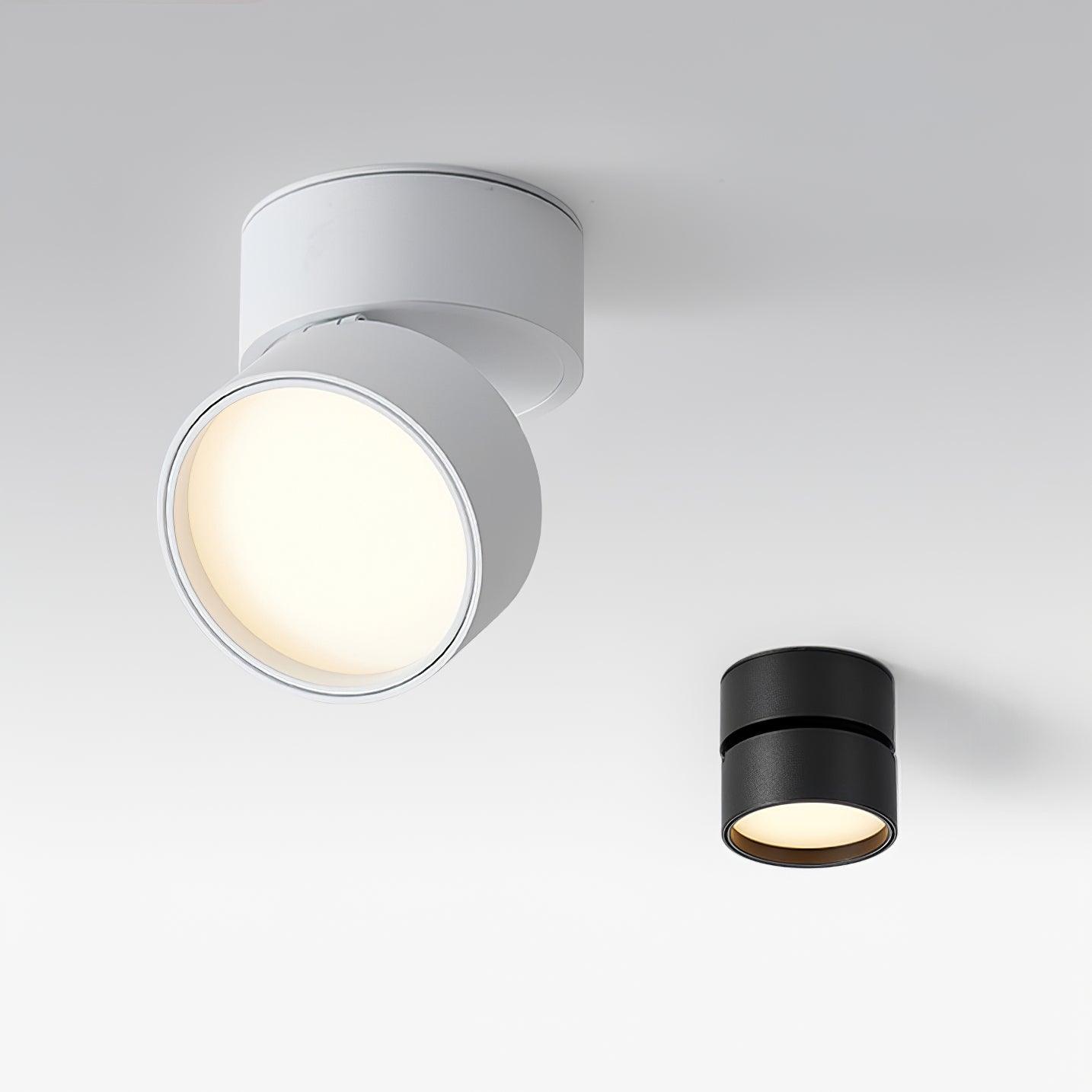 Lampe Plafonnier Surface LED Réglable - Éclairage Moderne pour Œuvres d'Art