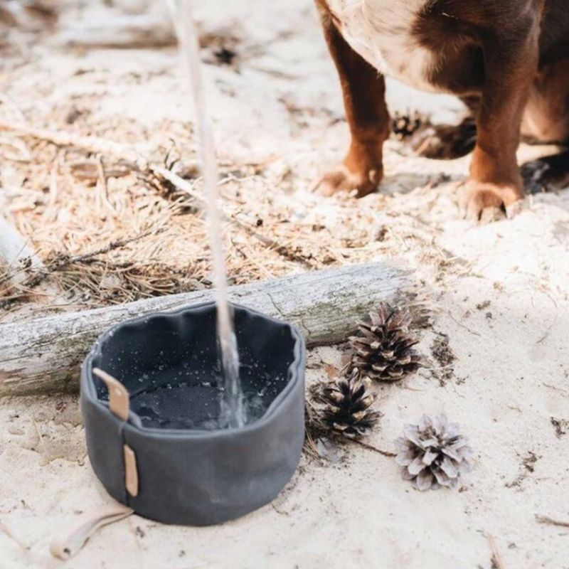 Gamelle Chien Nomade