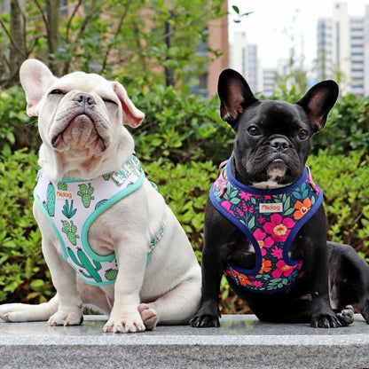 Harnais Chien Smart