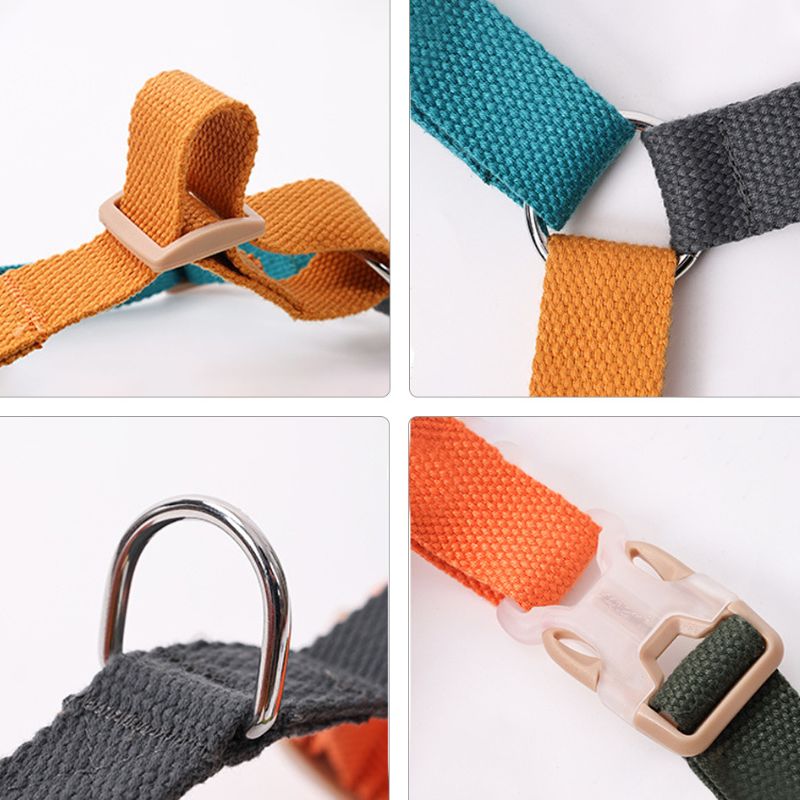 Harnais Chien H Multicolore