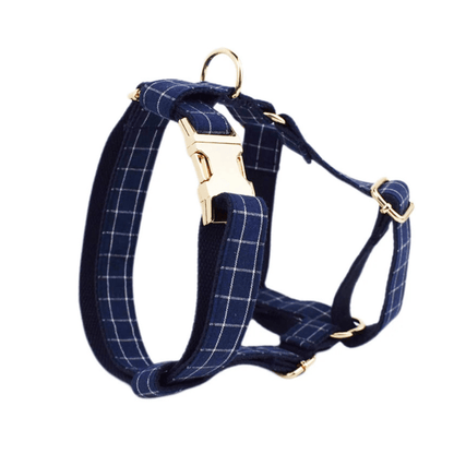 Harnais Chien Personnalise Bleu