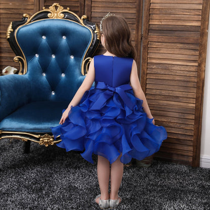 Robe Princesse Tutu Bleu