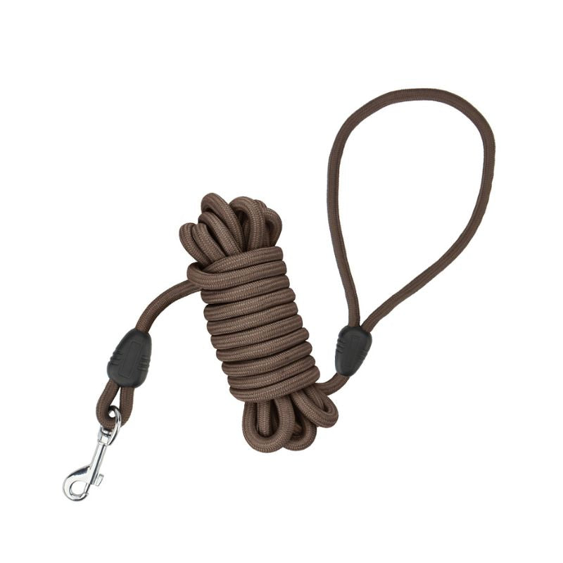 Longe Chien Marron